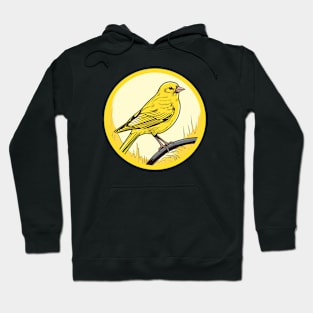 canary bird on a branch Hoodie